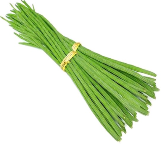 Shojna Data - 1Kg
