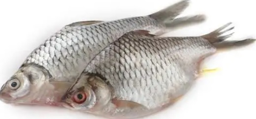 Sarputi Fish Deshi 1 Kg