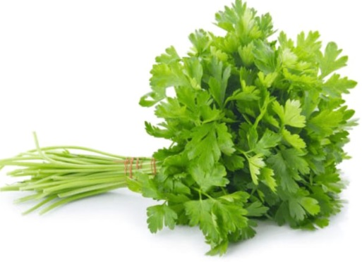 Coriander Leaf - 100 gm