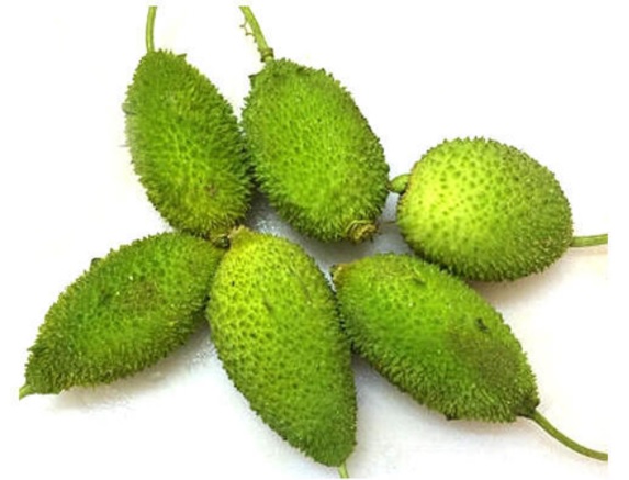 Teasel Gourd Kakrol - 1Kg