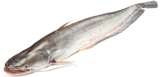 Premium Deshi Boal Fish - 1 kg