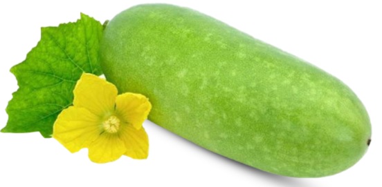 Wax Gourd Chalkumra - 1 Pcs