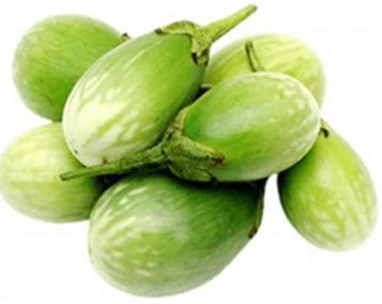 Green Round Brinjal Begun - 1Kg