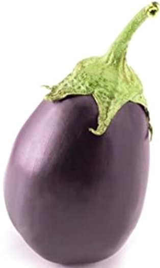 Round BrinjalTal Begun